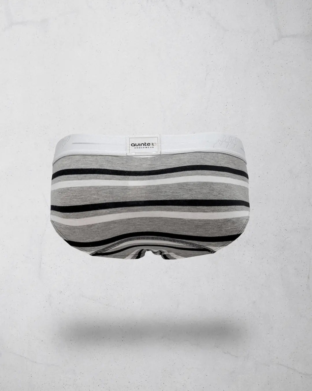 STRIPER OLDE BRIEF